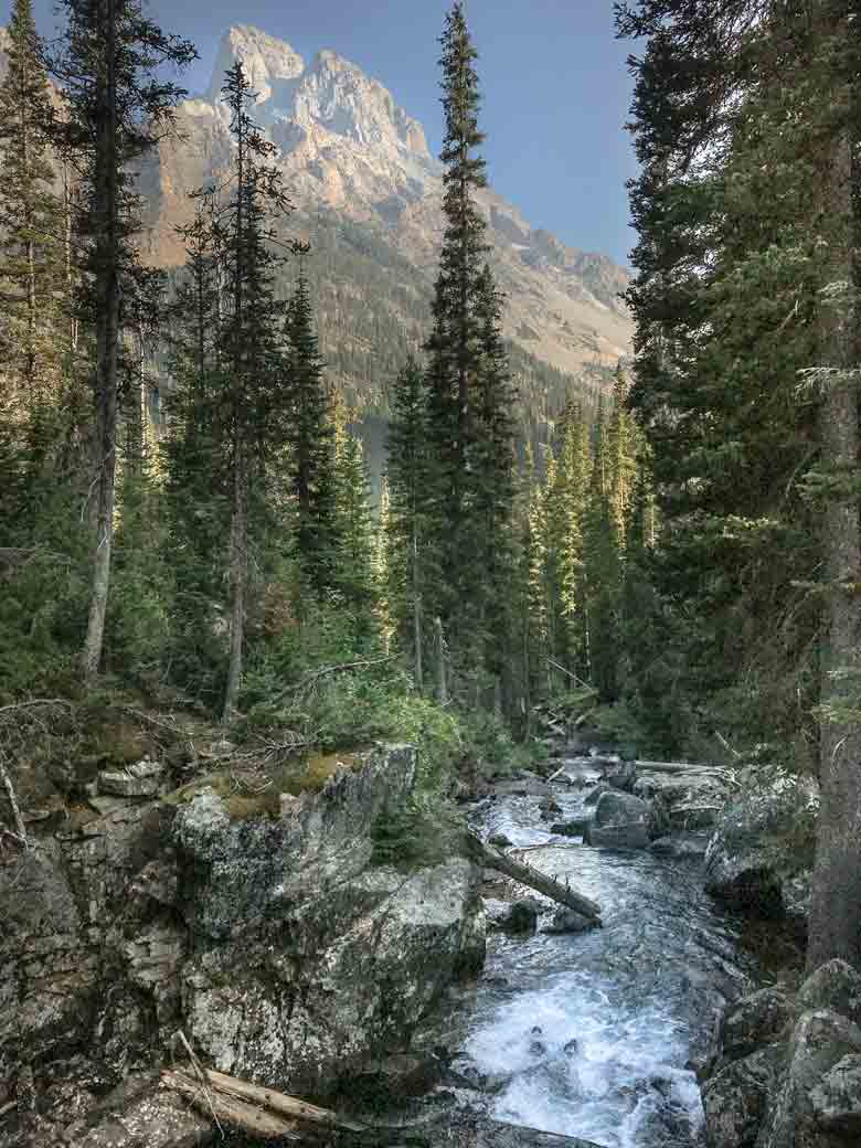 Scene of a creek in Grand Teton National Park in Wyoming.